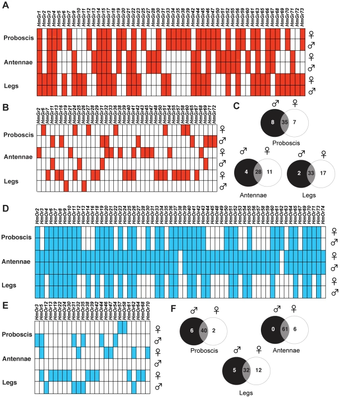 Comparison of <i>Gr</i> and <i>Or</i> expression in male and female adult <i>H.</i> <i>melpomene</i> chemosensory tissues.