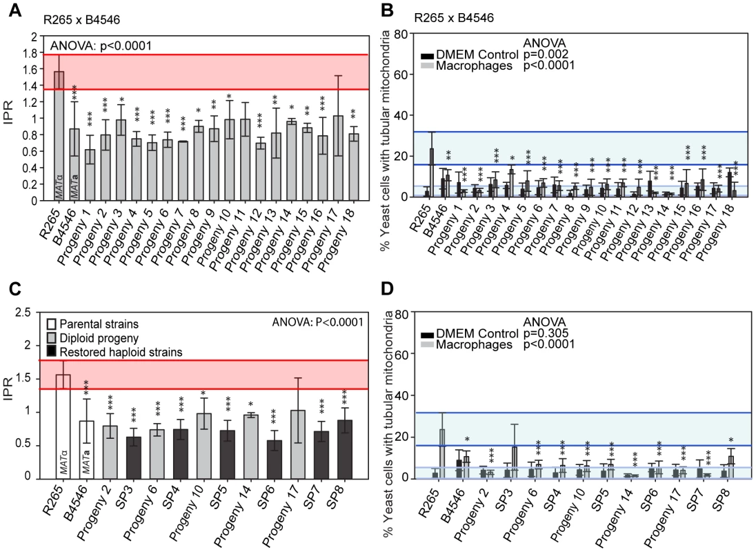 Macrophage interaction of progeny from outgroup crosses between R265 and B4546.