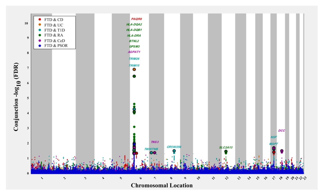 “Conjunction” Manhattan plot of conjunction −log<sub>10</sub>(FDR) values for frontotemporal dementia (FTD) given 6 immune-mediated diseases.