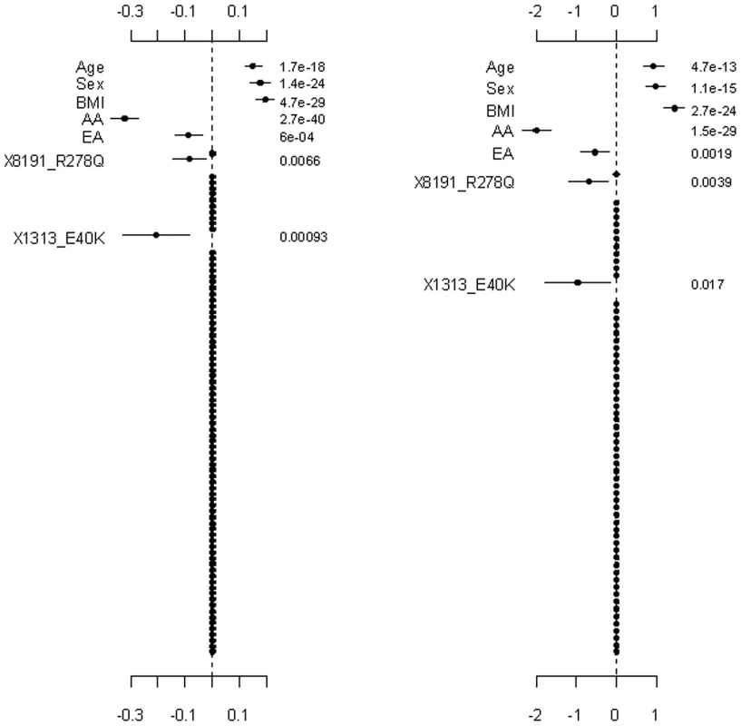 Ignoring the group effects and directly estimating the main effects of individual variants.
