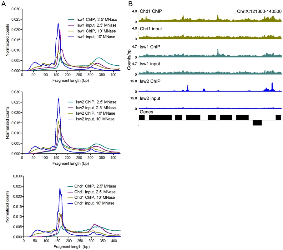 N-ChIP-seq localizes ISWI and CHD remodelers throughout the genome.