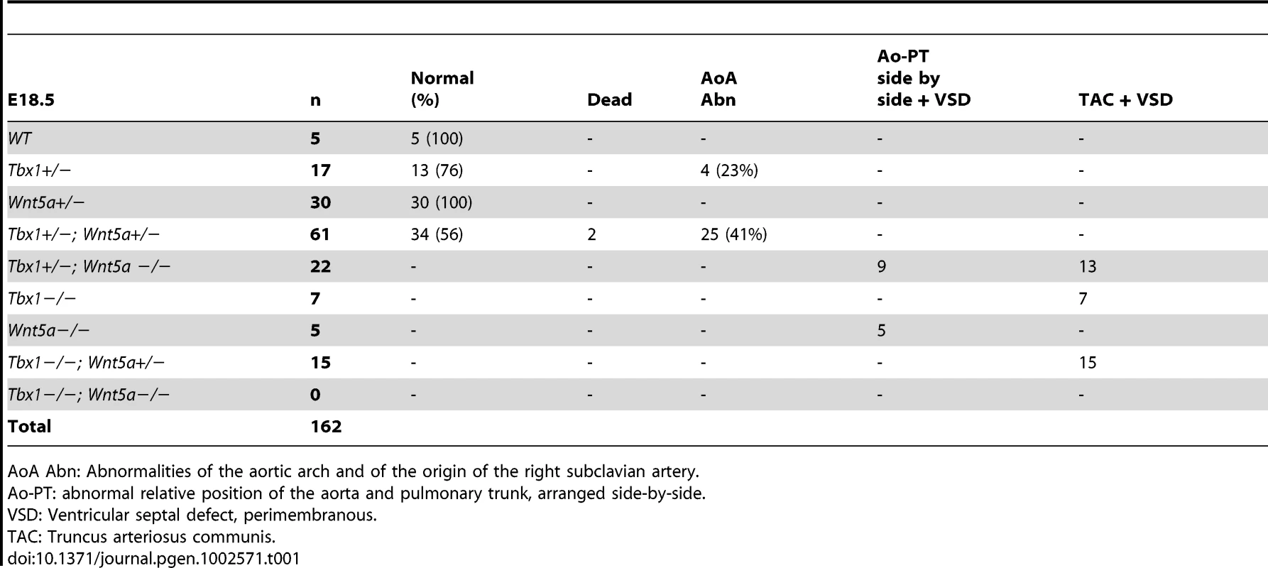 Summary of phenotyping results of E18.5 embryos from <i>Tbx1</i><sup>+/−</sup>;<i>Wnt5a</i><sup>+/−</sup> X <i>Tbx1</i><sup>+/−</sup>;<i>Wnt5a</i><sup>+/−</sup> intercrosses.