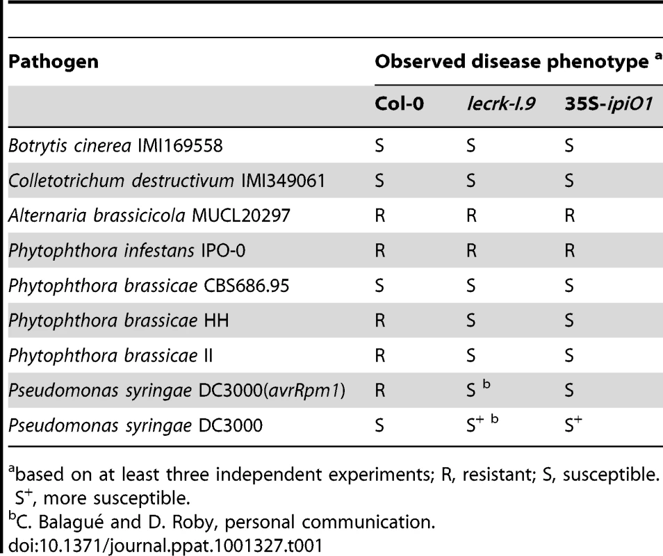 Gain of susceptibility to <i>Phytophthora brassicae</i> in Arabidopsis Col-0, <i>lecrk-I.9</i> and 35S-<i>ipiO1</i> lines.