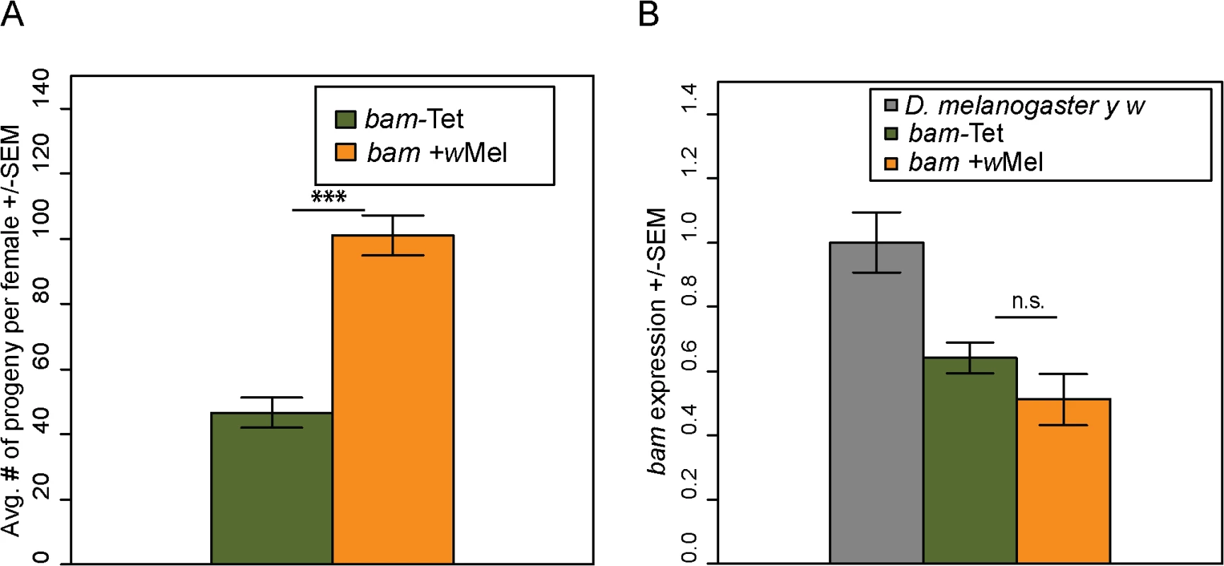 <i>Wolbachia</i> increases the fertility of <i>D</i>. <i>melanogaster bam</i> hypomorphs without altering <i>bam</i> RNA levels.