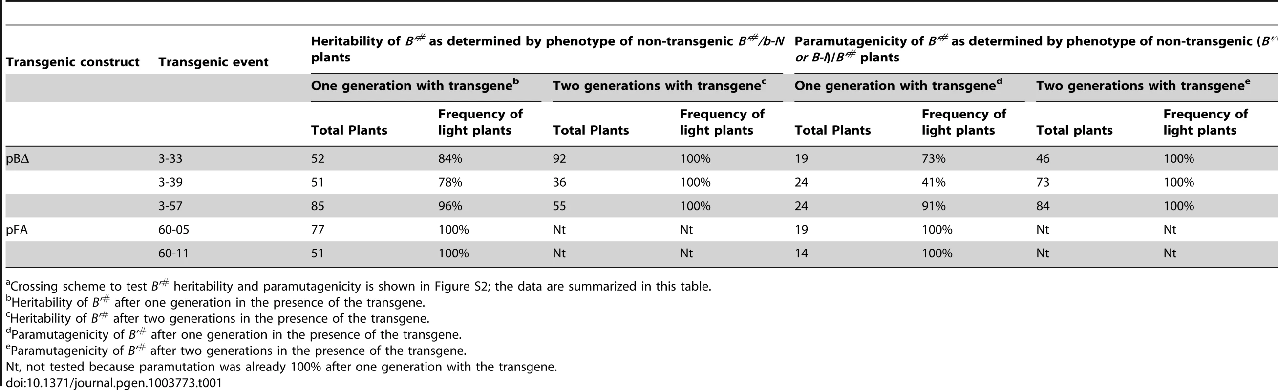Heritability and paramutagenicity of transgene-induced <i>B'<sup>#</sup></i> silencing<em class="ref">a</em>.