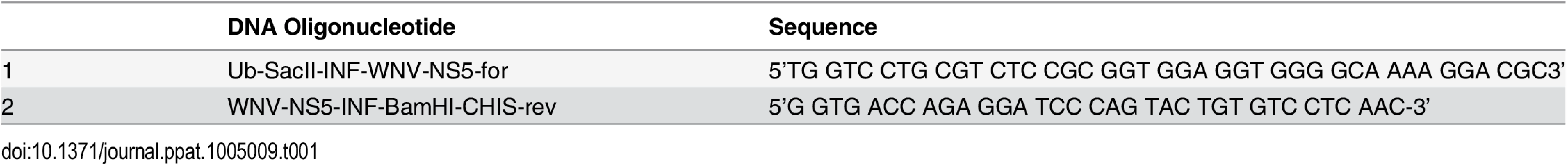 DNA oligonucleotides used for cloning WNV NS5 into bacterial expression plasmid.