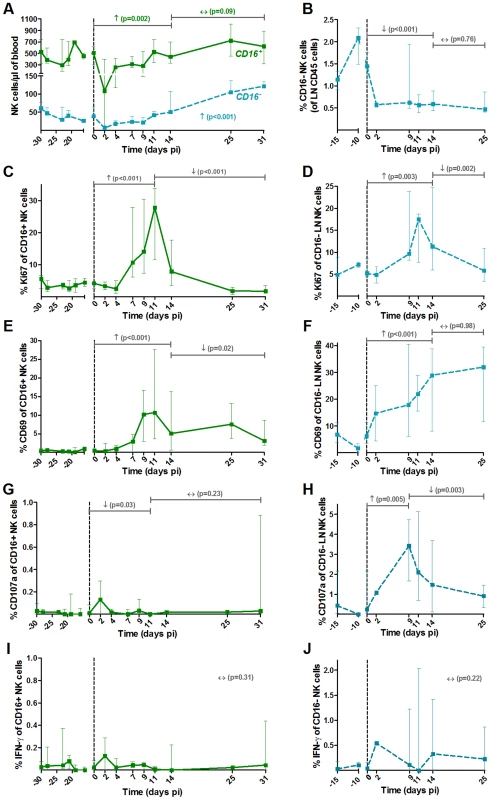 NK cell activation pattern and function in blood and lymph nodes upon SIVagm infection.