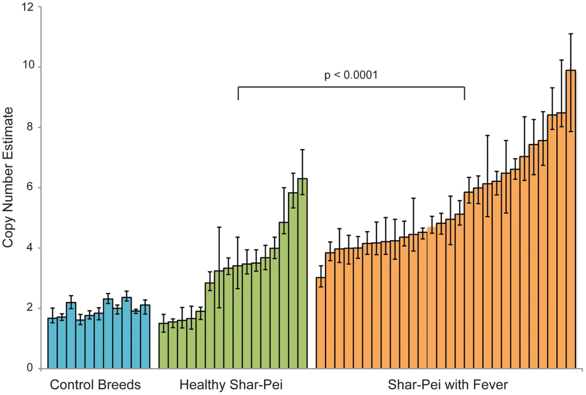 The relationship between copy number estimate and susceptibility to Familial Shar-Pei Fever.
