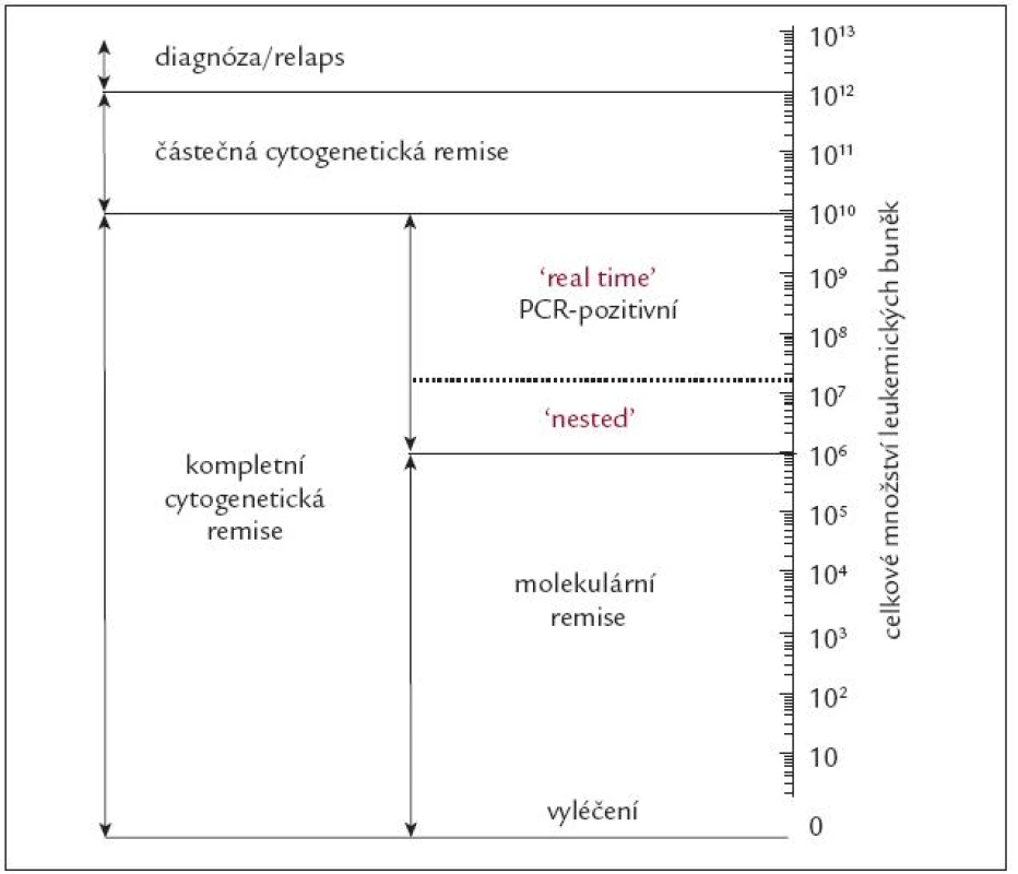 Schematické znázornění celkového počtu Ph<sup>1</sup> pozitivních buněk v těle nemocného s CML v jednotlivých fázích choroby.