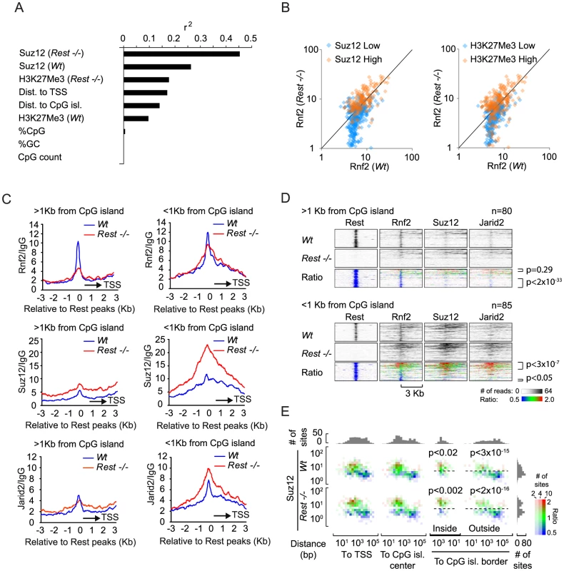 Effects of different parameters on Rnf2 binding.