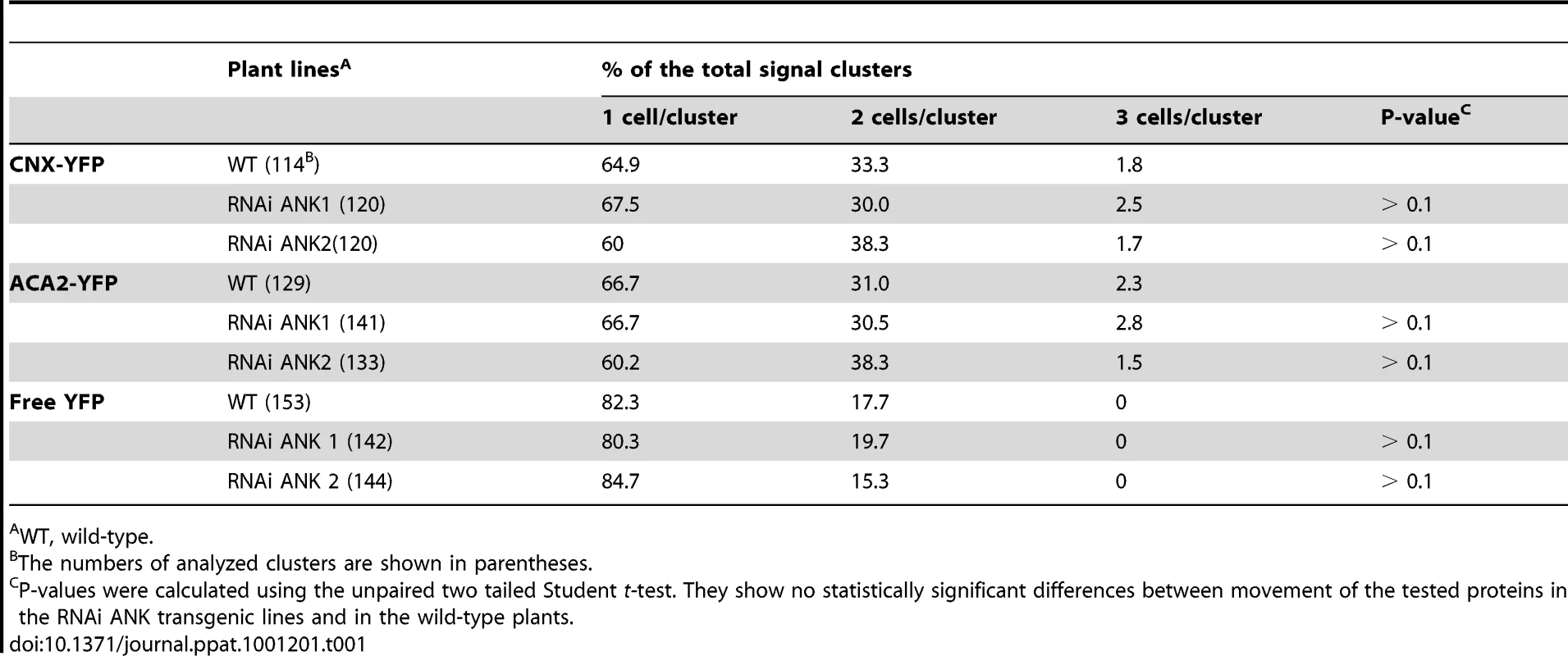 Cell-to-cell diffusion of CNX and ACA2 in wild-type and RNAi ANK1 and RNAi ANK2 plants.