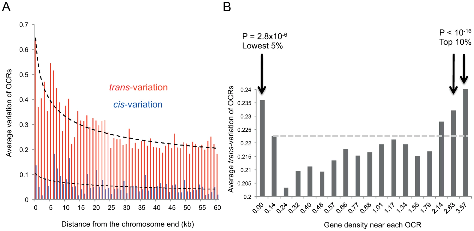 The magnitude of <i>trans-</i> and <i>cis-</i> variation and the number of genes within 50 kb upstream and downstream of the peak boundaries.