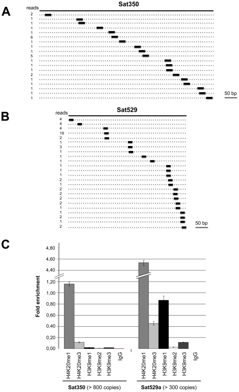 Satellite-associated <i>Tg</i>-satRNA localized to heterochromatin in <i>Toxoplasma</i>.