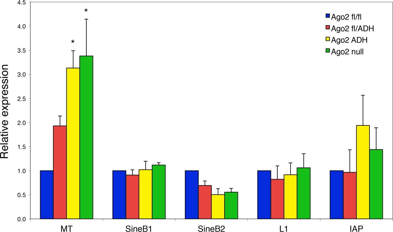 Increased abundance of mouse transcript (MT) retrotransposon in <i>Ago2</i><sup>ADH</sup> oocytes.