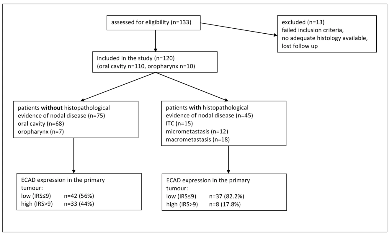 Example of a participant flow diagram <em class="ref">[<b>177</b>]</em>.
