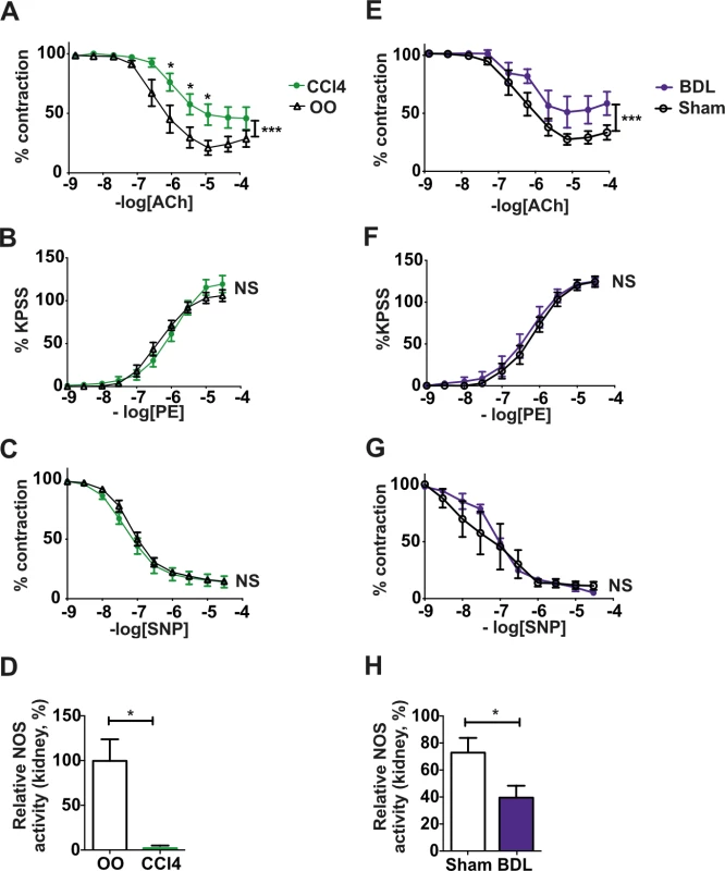 Vascular responses in isolated extrarenal renal arteries from cirrhotic rats.