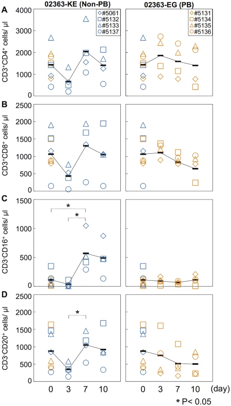 Kinetics of lymphocytes in peripheral blood.