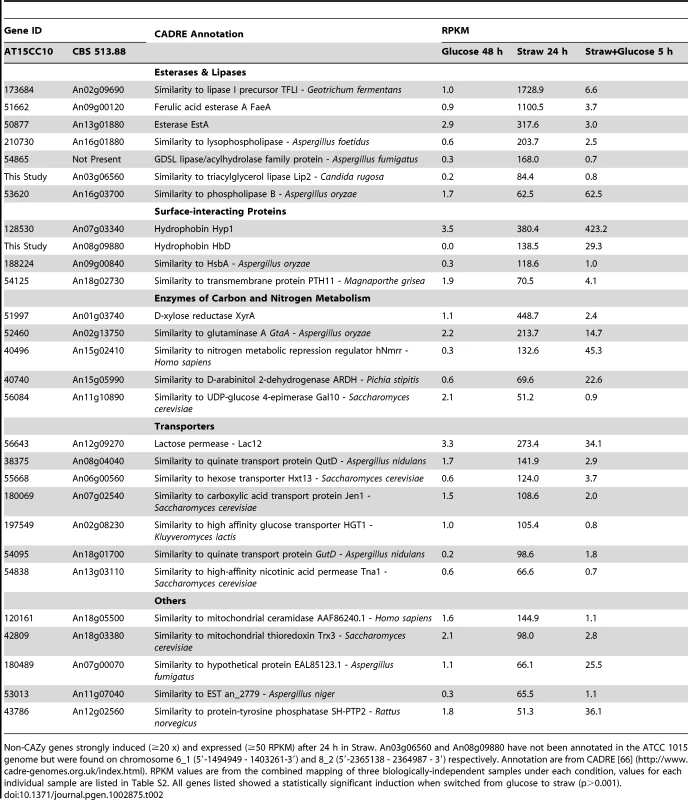 Straw-induced non-CAZy genes.
