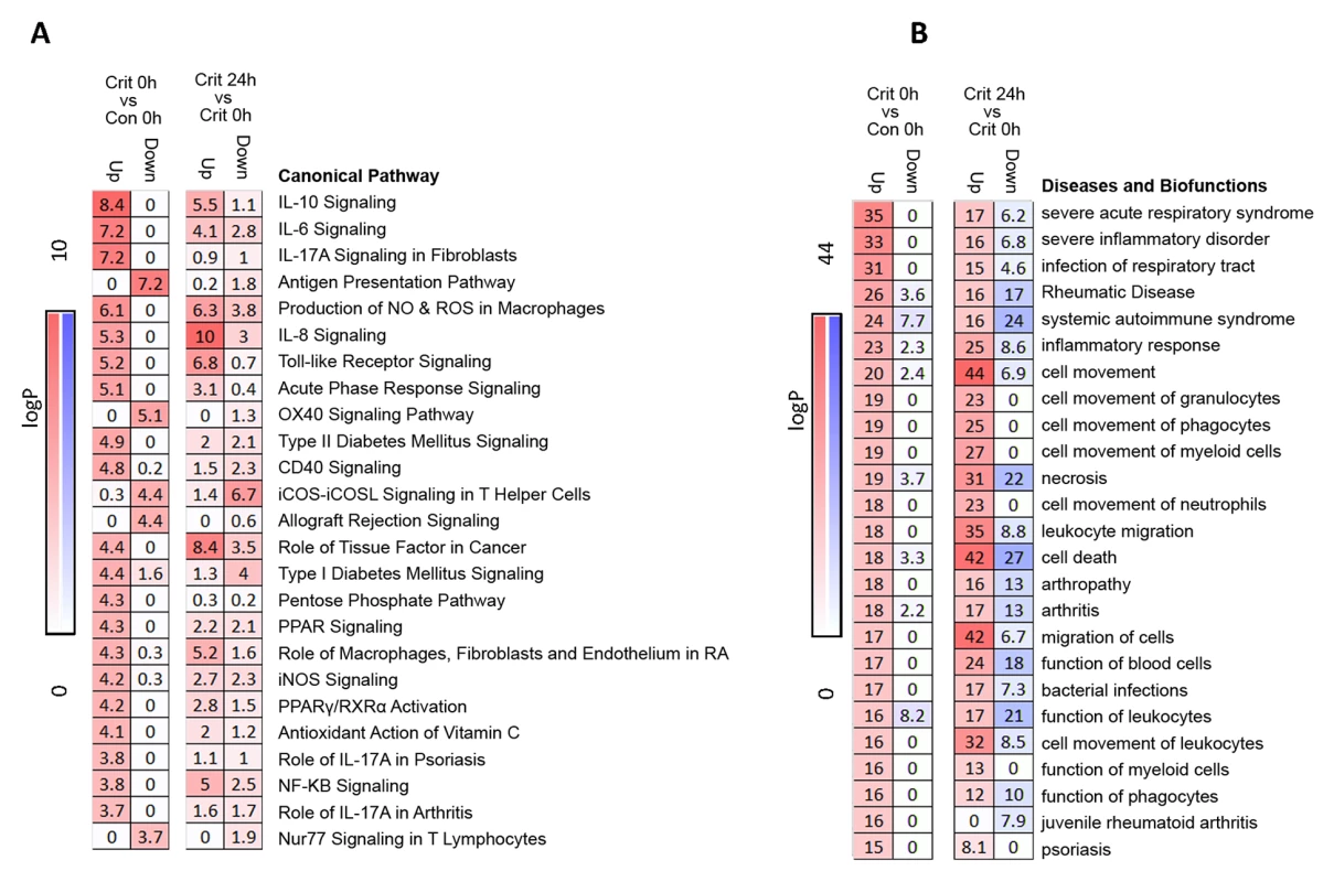 Pathways and biofunctions in the hyperacute response to critical injury.