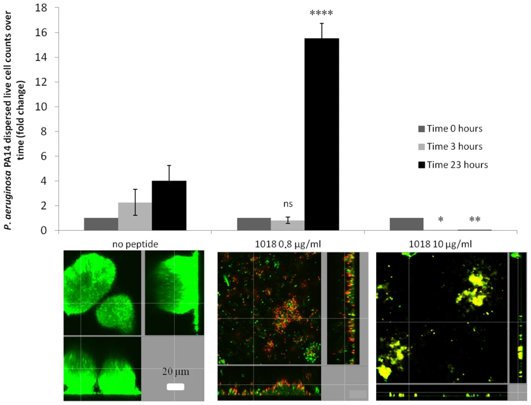 Low levels of 1018 led to biofilm dispersion while higher levels triggered biofilm cell death.