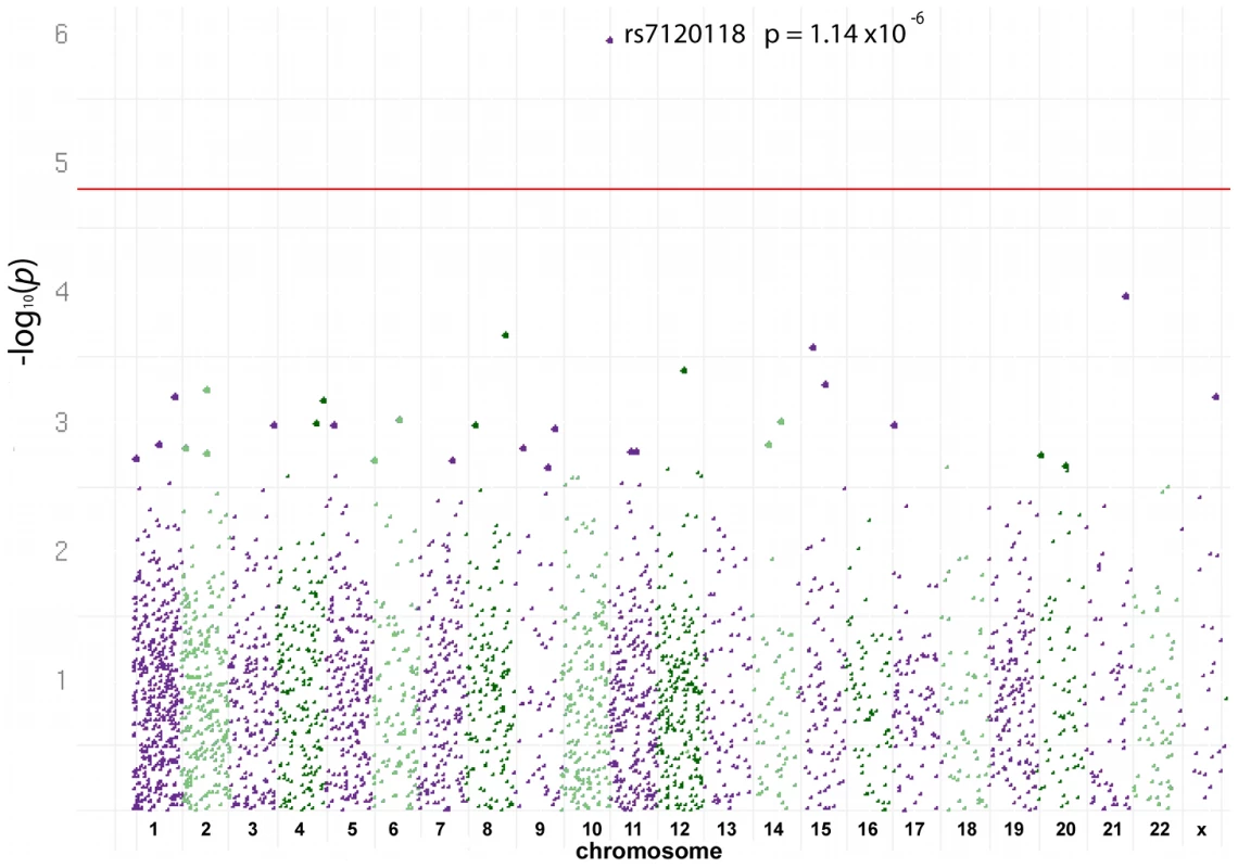 Allele-Specific Open Chromatin Signals from Heterozygous Lymphoblast Cell Lines.
