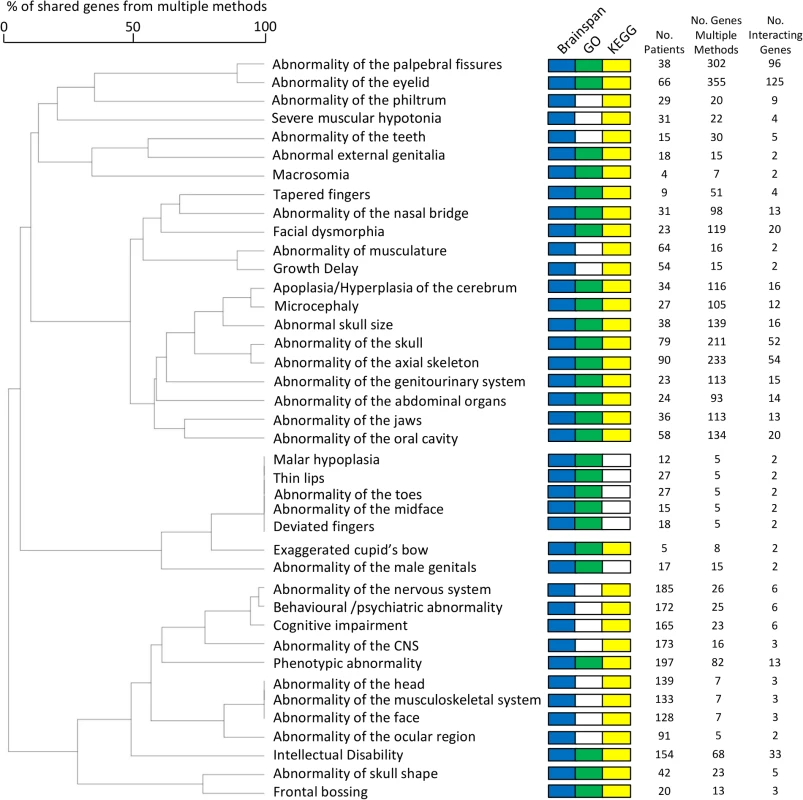 Forty non-exclusive patient groups, each group’s patients sharing the same HPO term, amongst whom individual copy number variant candidate genes were each recurrently identified by multiple functional genomics methods and whose recurrently-identified candidate genes demonstrated a significant number of protein-protein interactions.