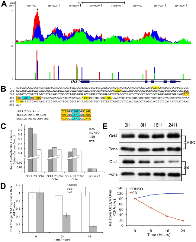 <i>Oct4</i> Is a Direct Target of Nodal/Activin Signaling via Graded Phospho-Smad2 Recruitment to the Promoter.