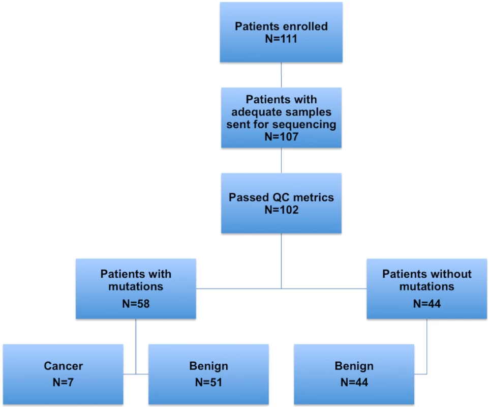 Flowchart depicting the numbers of patients in each step of the study: enrollment, sample collection, ultra-deep sequencing of samples, and molecular and histopathological classification.