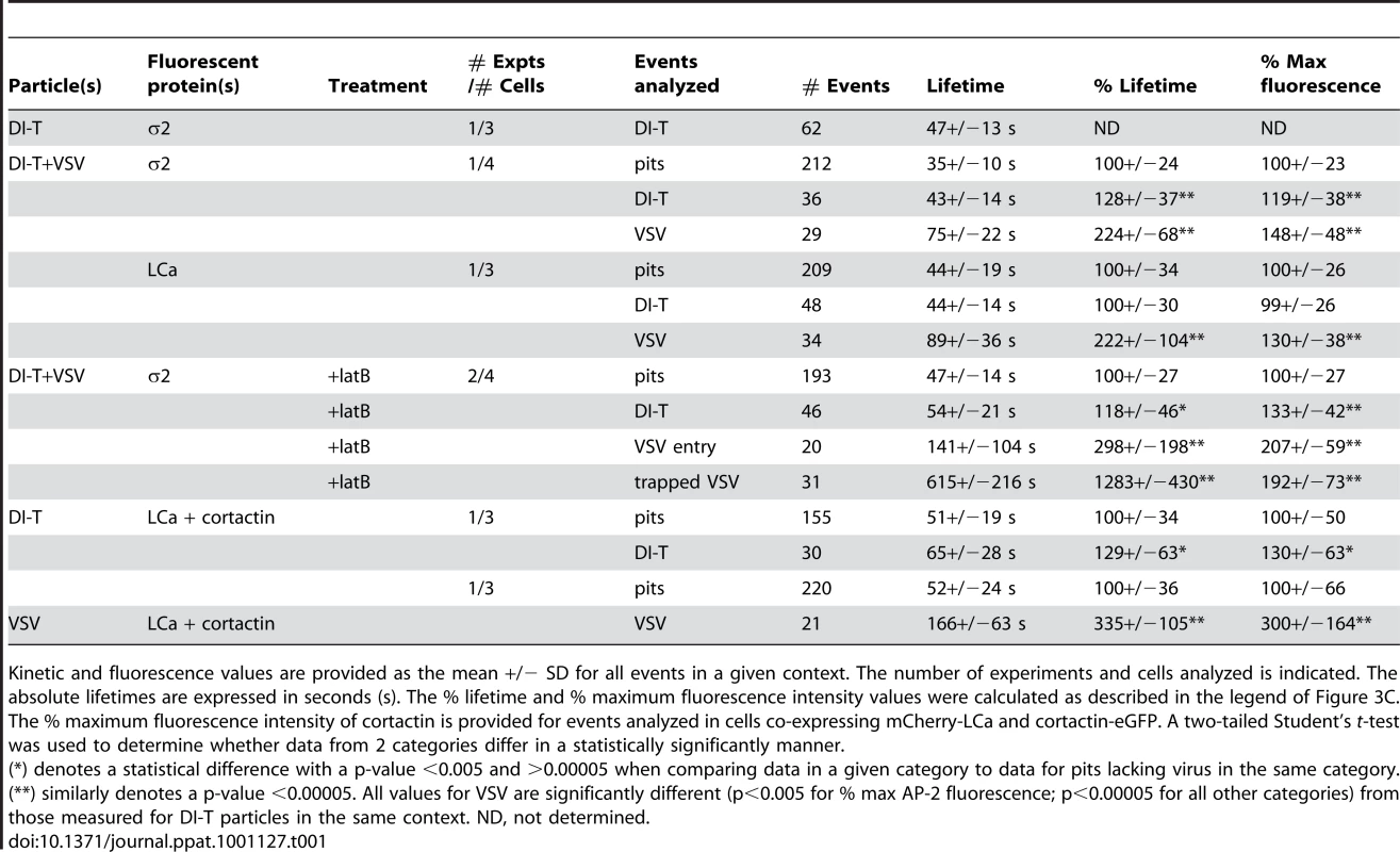 Summary of kinetic and fluorescence intensity data.