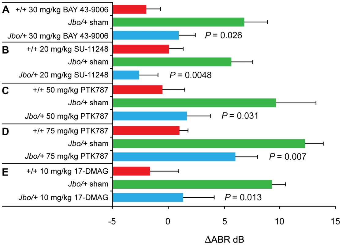 Treatment of <i>Jbo/+</i> mice with VEGF receptor inhibitors and the HSP90 inhibitor 17-DMAG moderates hearing loss.