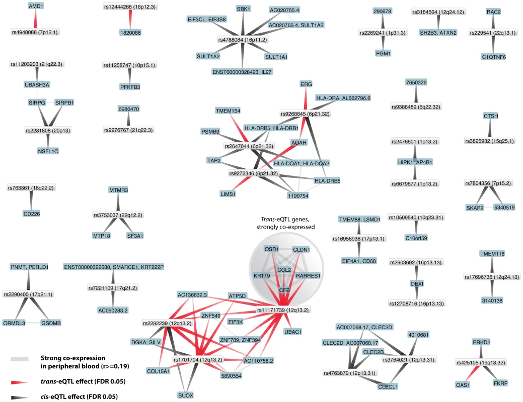 Type 1 diabetes associated SNPs both affect genes in <i>cis</i> and in <i>trans</i>.