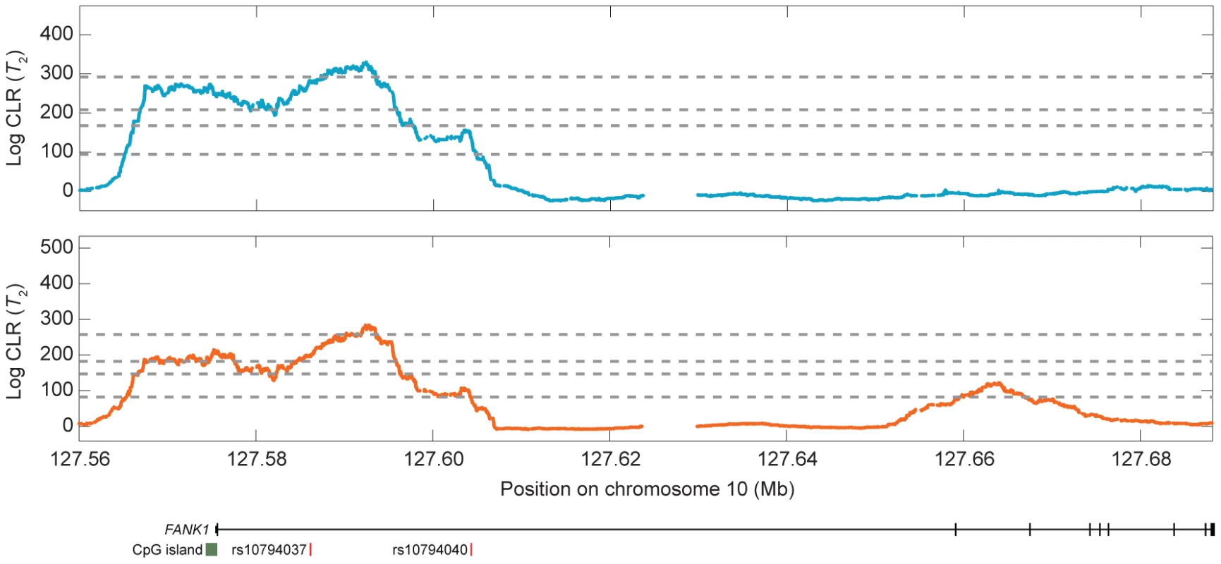 Signal of balancing selection at the <i>FANK1</i> gene for the CEU (blue) and YRI (orange) populations using the  test statistic.