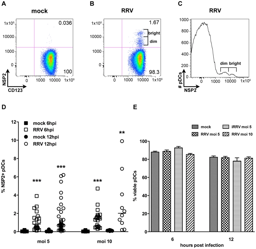 Infection of human peripheral pDCs with rhesus rotavirus.