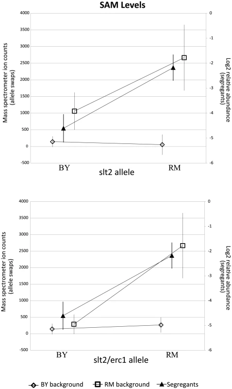 RM-inheriting segregants for <i>slt2</i> and <i>erc1</i> show significantly higher levels for SAM.