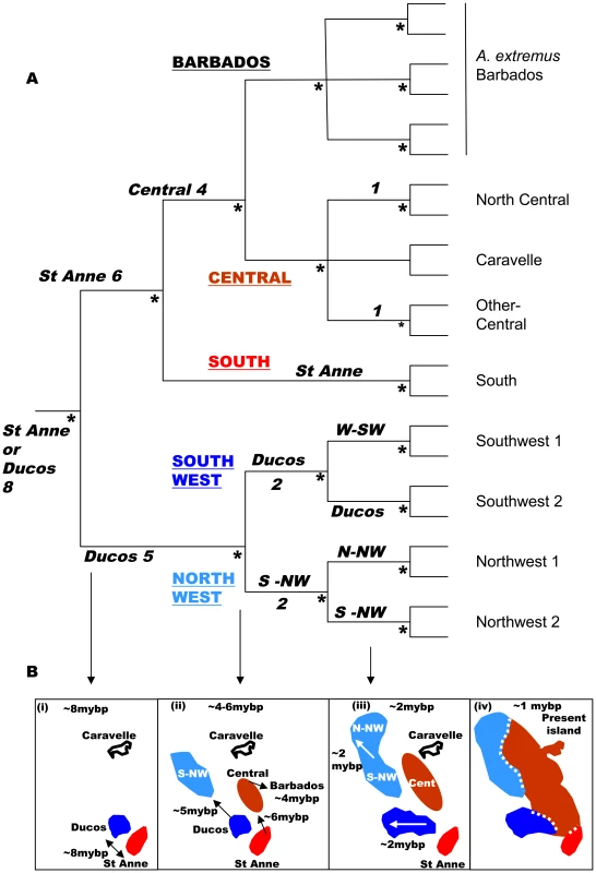 Phylogeny and geohistory.