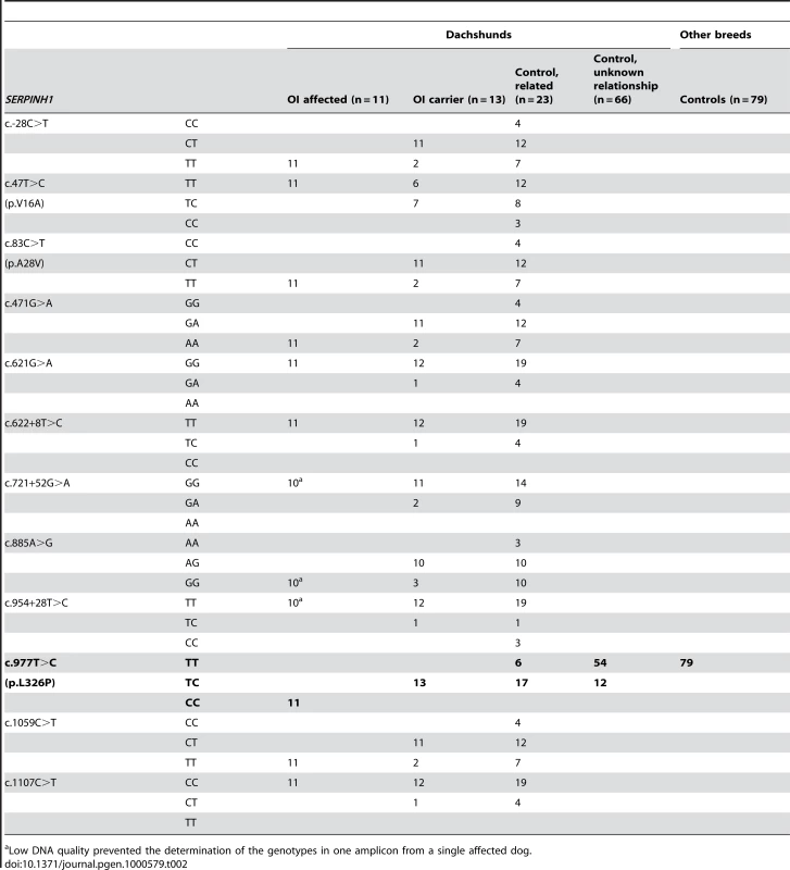 <i>SERPINH1</i> genotype frequencies