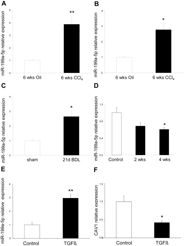 Altered expression of miR-199a-5p in CCl<sub>4</sub> induced liver fibrosis mouse model.