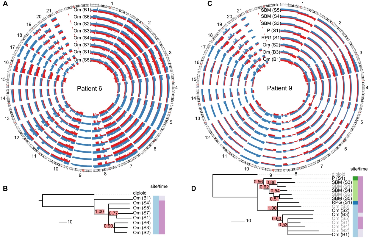 Examples of spatial and temporal heterogeneity in HGSOC.