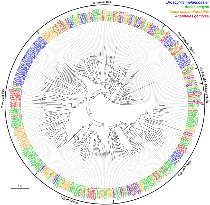 Species-specificity of divergent IR repertoires.