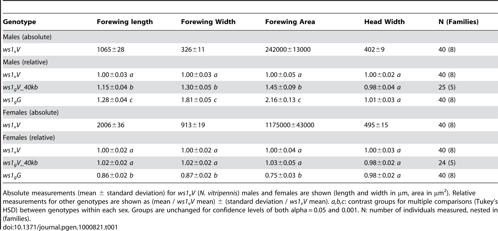 Basic wing measurements of <i>ws1</i> and wild-type strains.
