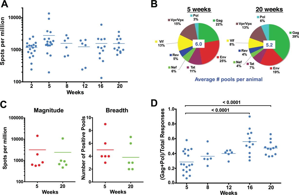 Evolution of the epitope specificity of SIV-specific CD8 T cell responses in SIVΔnef-vaccinated animals.