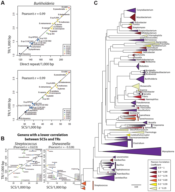 Genome-level correlation analysis between TRs and SCSs or direct repeats.