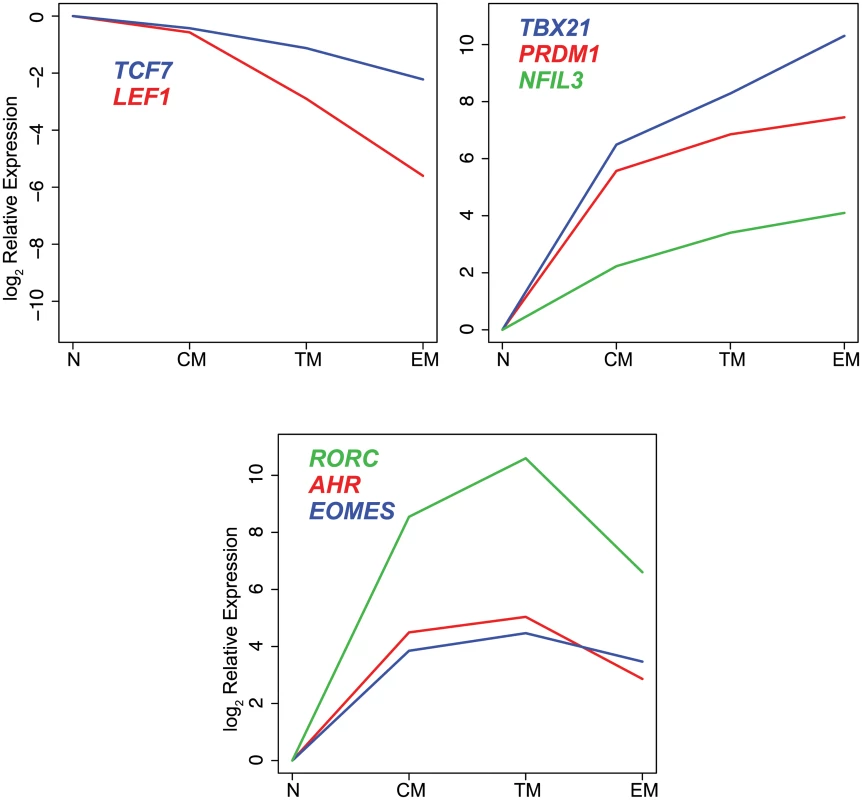 Differential expression of transcription factors in CD8<sup>+</sup> naïve and memory T cell subsets.