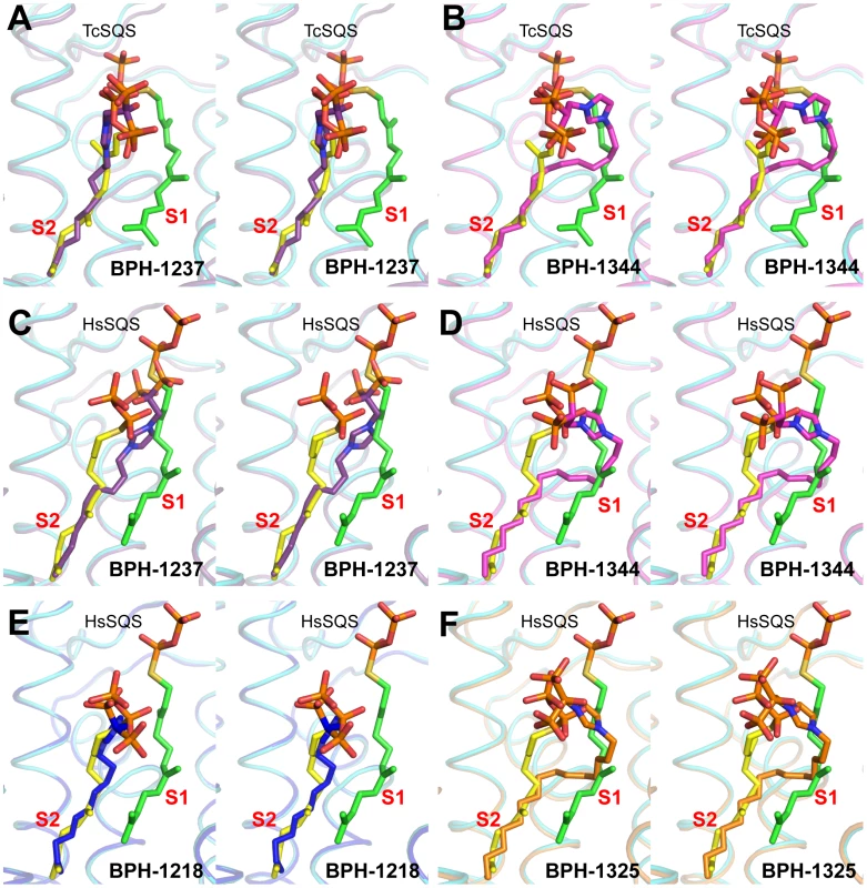 Complex Structures of SQS with lipophilic bisphosphonate inhibitors.