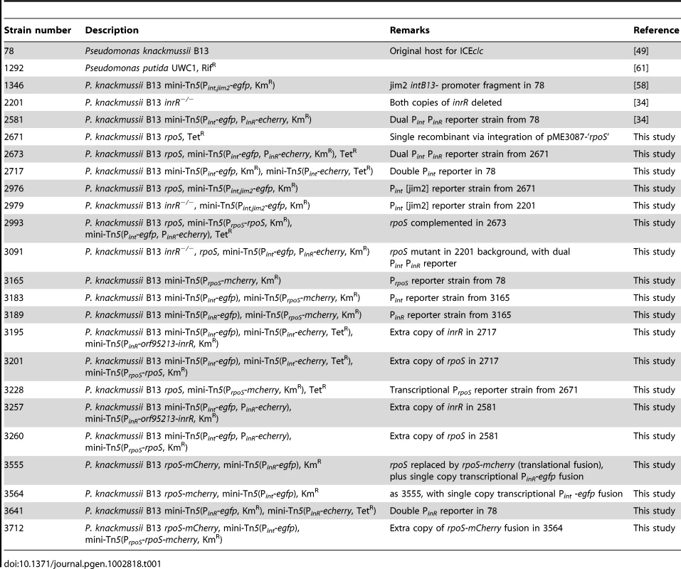 Strains used in this study.