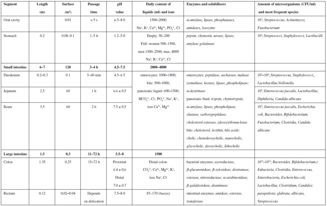 Summary of selected parameters of particular segments of GIT