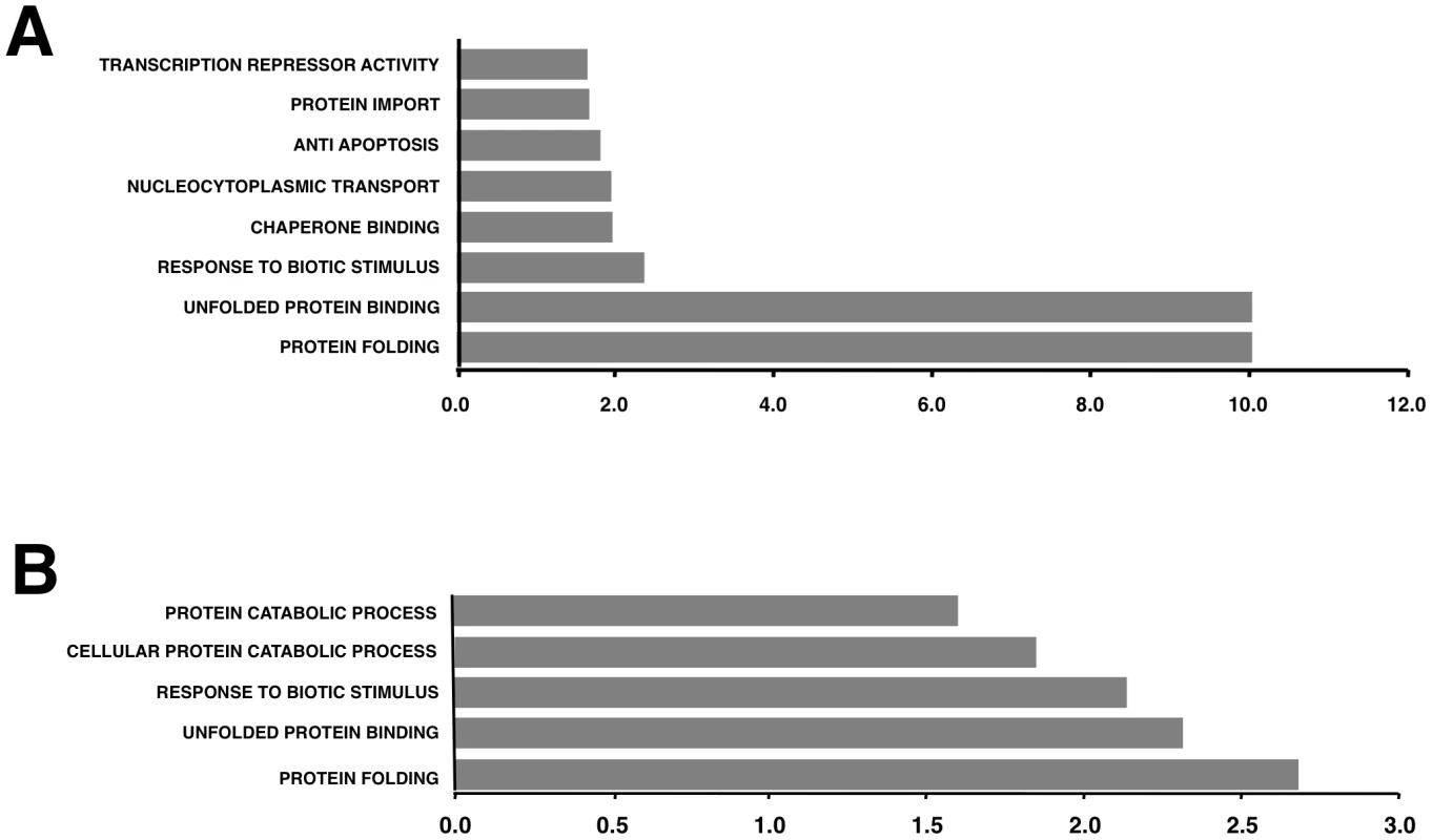 Upregulation of functionally associated genes in rSARS-CoV-ΔE compared to rSARS-CoV-infected cells using microarrays.