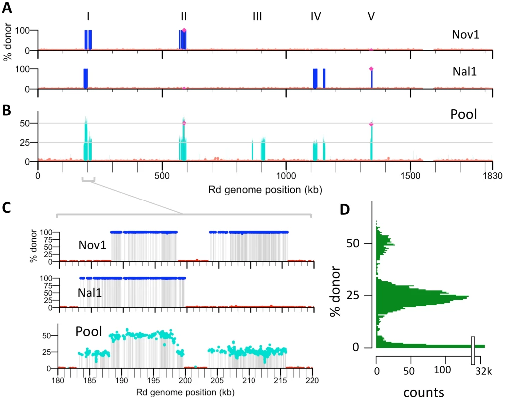 Identifying transformation events genome-wide.