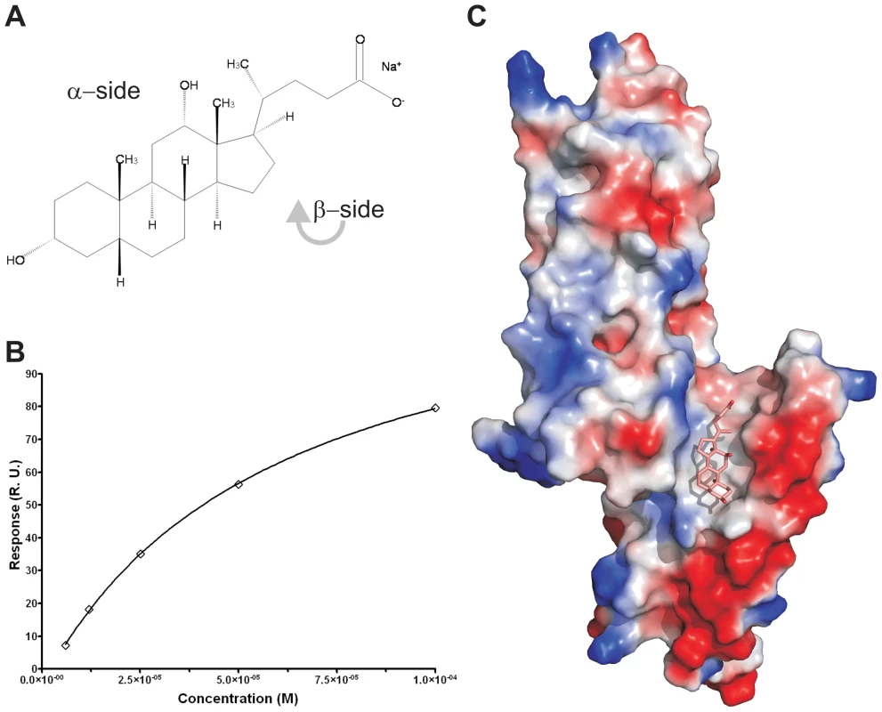 Binding assay and cocrystal structure of PrgI-SipD<sub>ΔD1</sub> with deoxycholate.