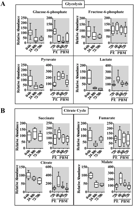 Changes in the level of intermediary metabolites throughout the reproductive cycle of adult female mosquito.